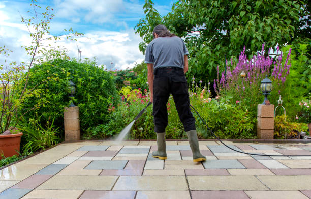 Best Animal Enclosure Cleaning  in Slaton, TX
